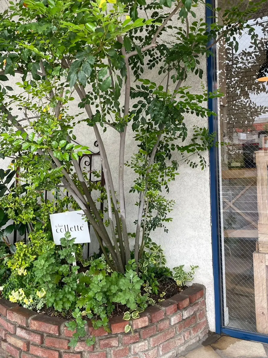 サロンイメージ